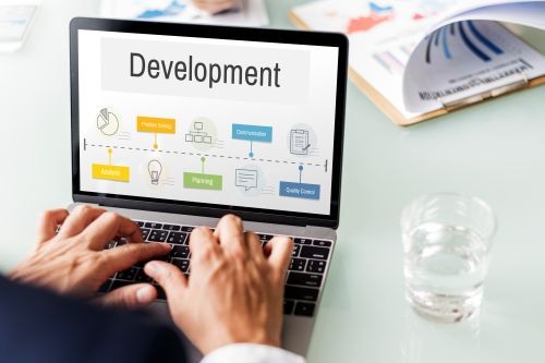 Website development